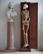 19th century anatomical teaching human skeleton. Probably French, circa 1840.
