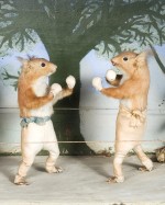 Rare diorama of a squirrel boxing match. English circa 1870